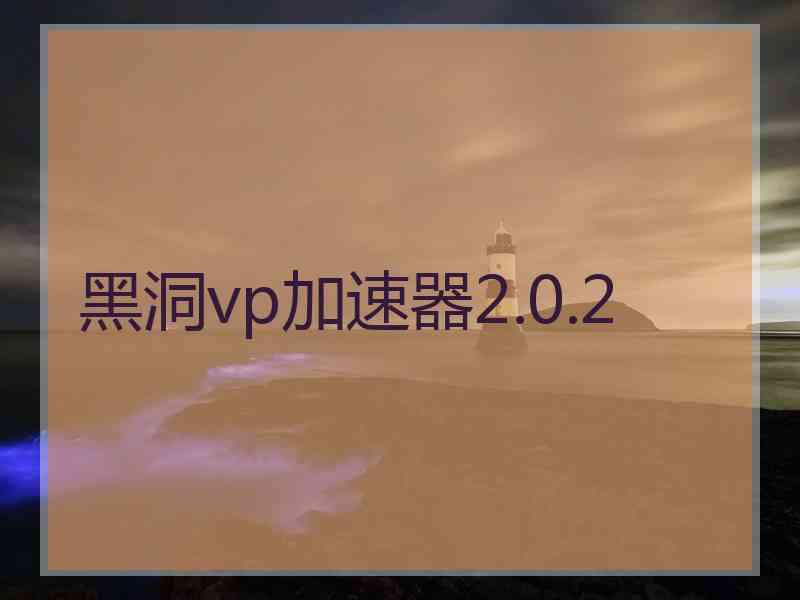黑洞vp加速器2.0.2