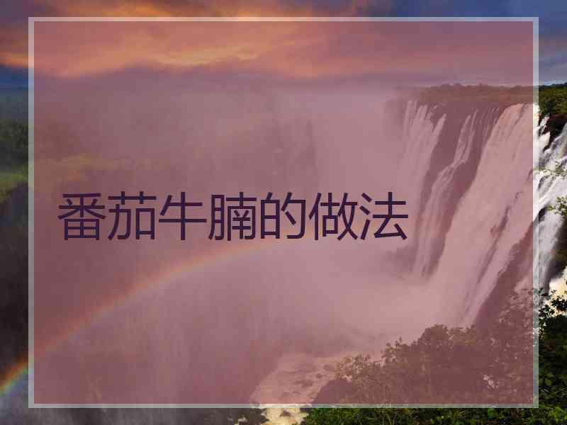 番茄牛腩的做法