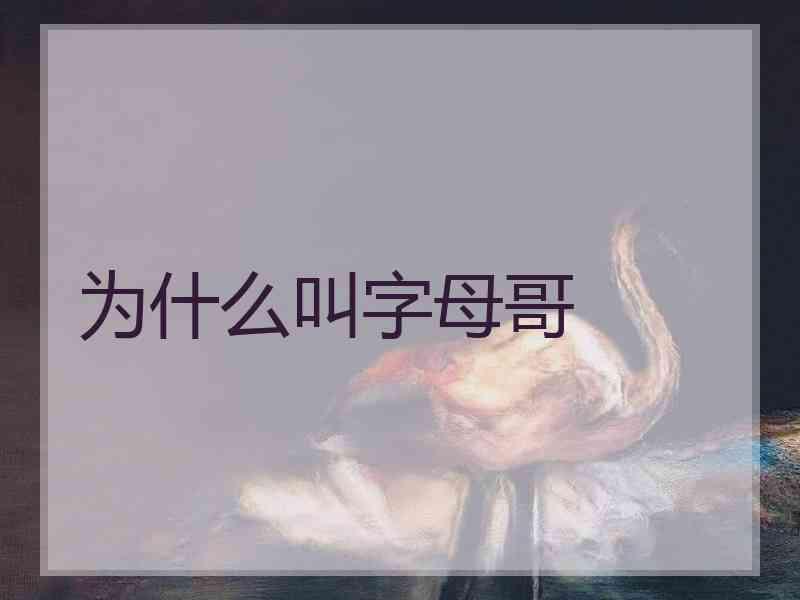 为什么叫字母哥