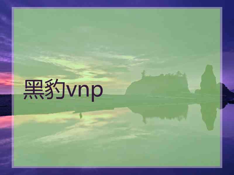 黑豹vnp