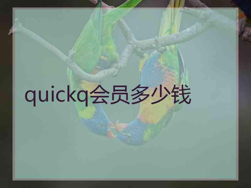quickq会员多少钱