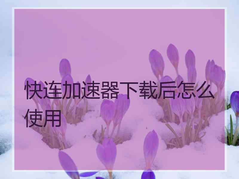快连加速器下载后怎么使用