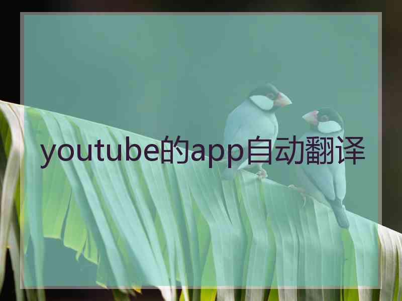 youtube的app自动翻译