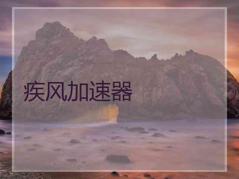 疾风加速器