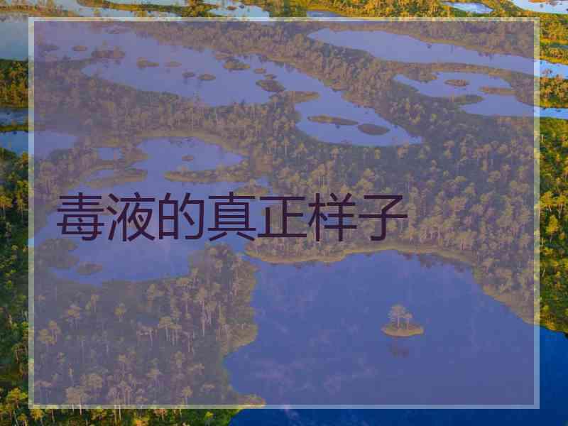 毒液的真正样子