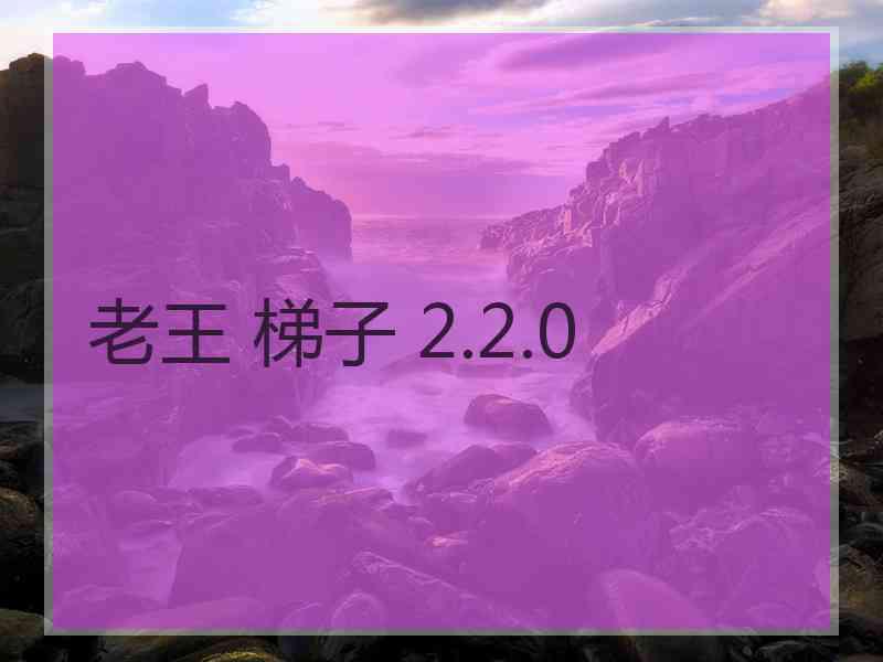 老王 梯子 2.2.0