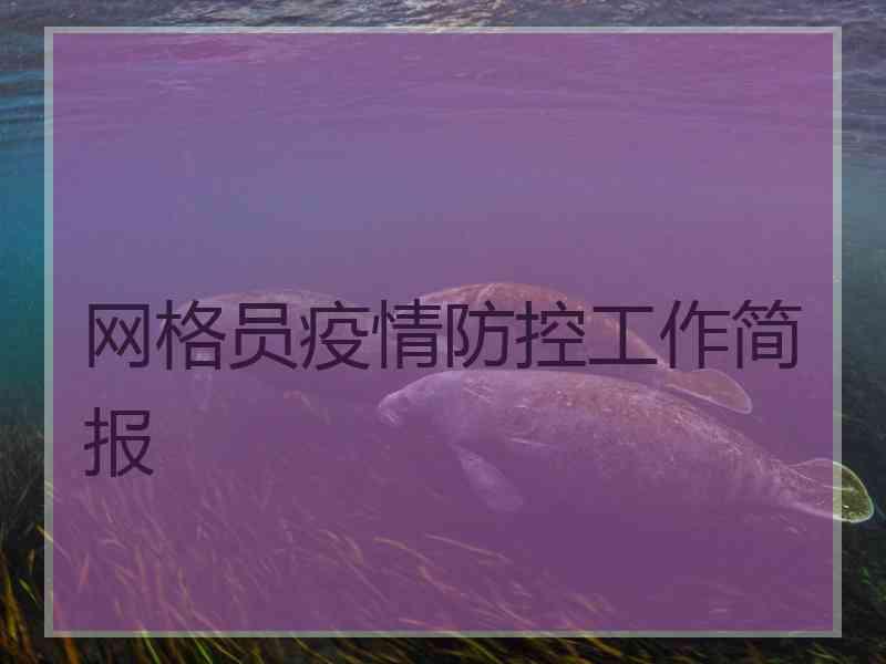 网格员疫情防控工作简报