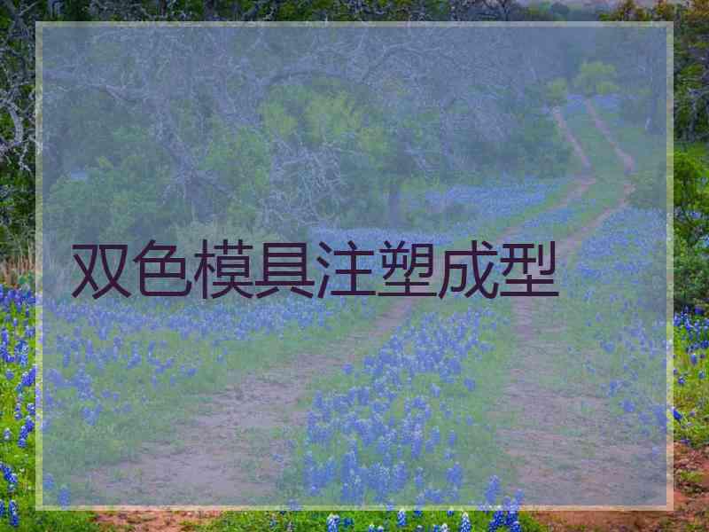 双色模具注塑成型