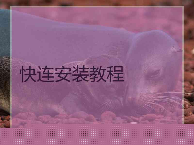 快连安装教程