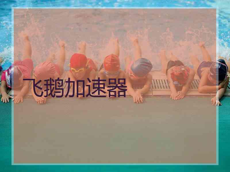 飞鹅加速器