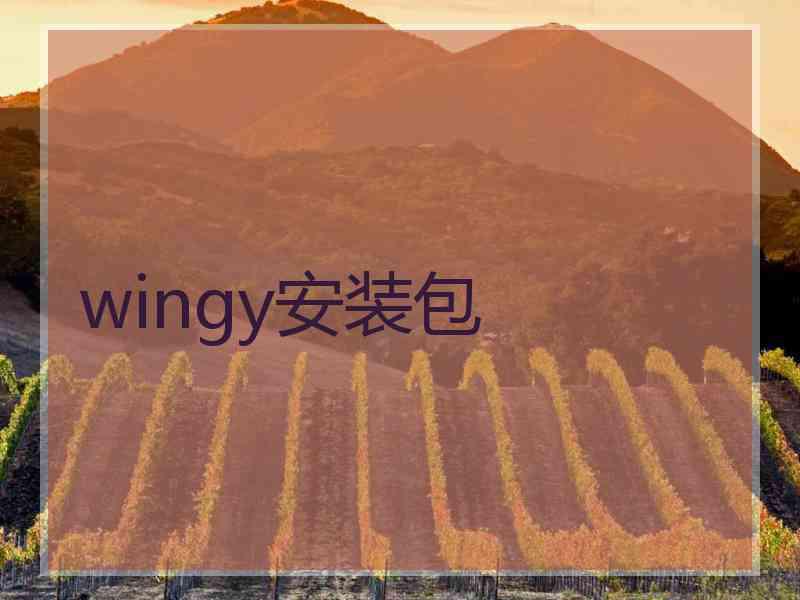 wingy安装包