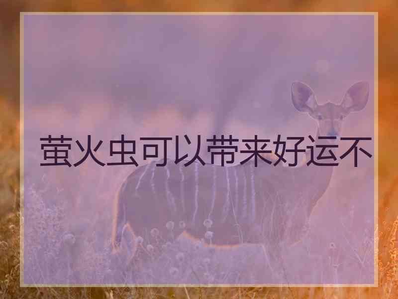 萤火虫可以带来好运不