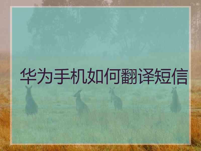 华为手机如何翻译短信