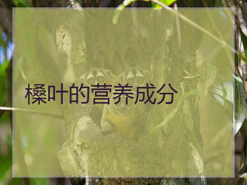 槡叶的营养成分