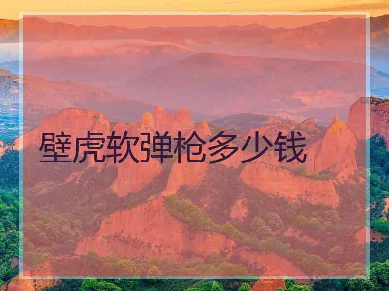 壁虎软弹枪多少钱