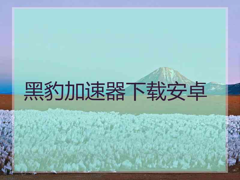黑豹加速器下载安卓
