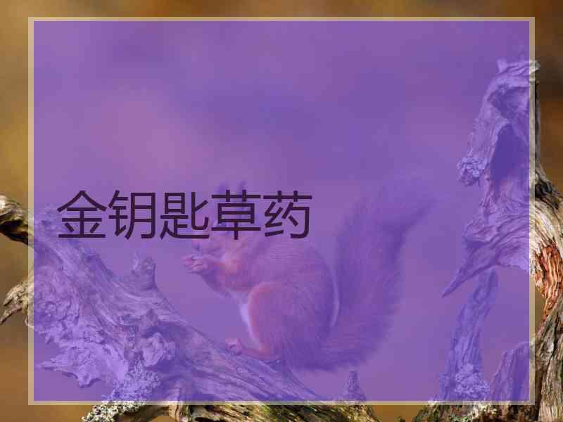 金钥匙草药
