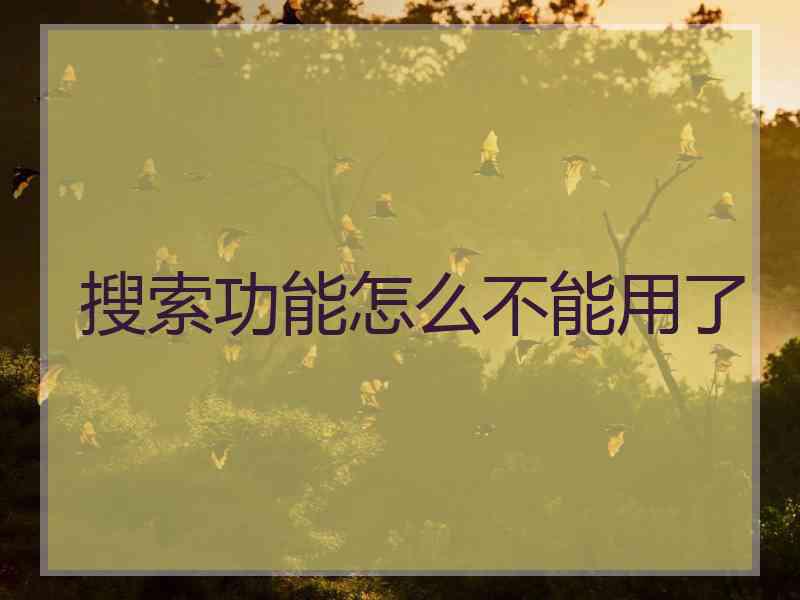 搜索功能怎么不能用了