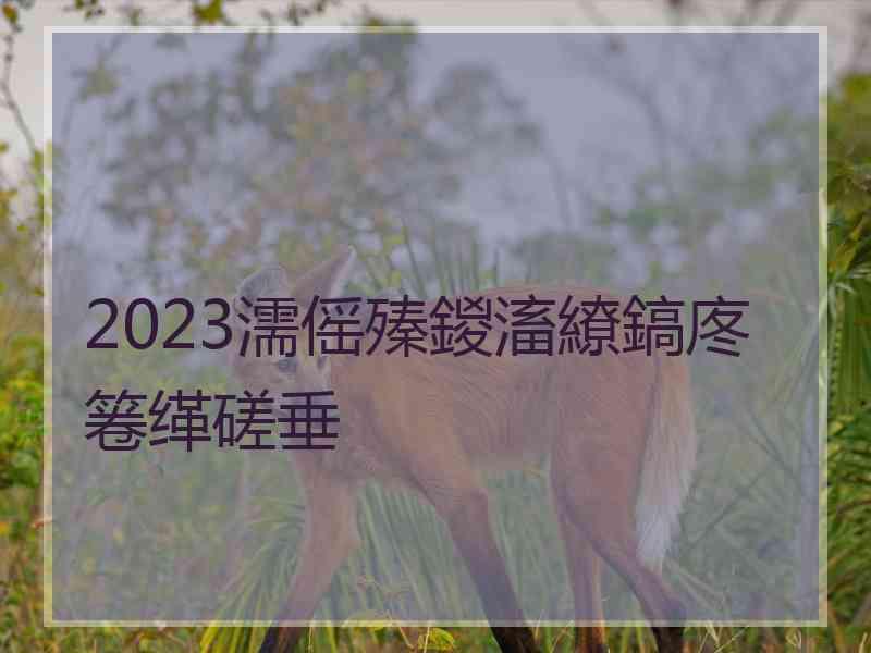 2023濡傜殝鍐滀繚鎬庝箞缂磋垂