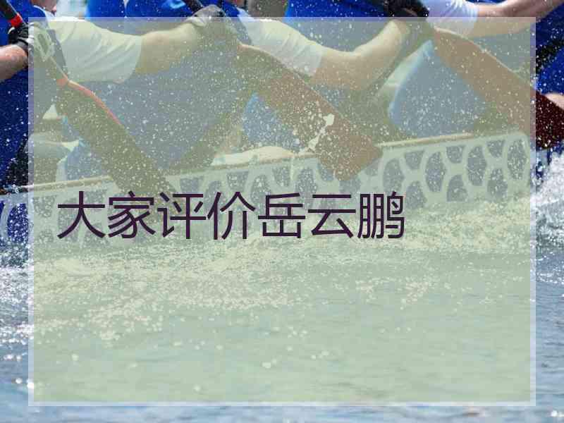 大家评价岳云鹏