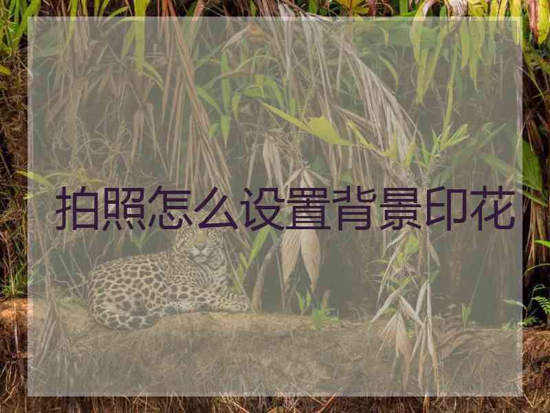 拍照怎么设置背景印花