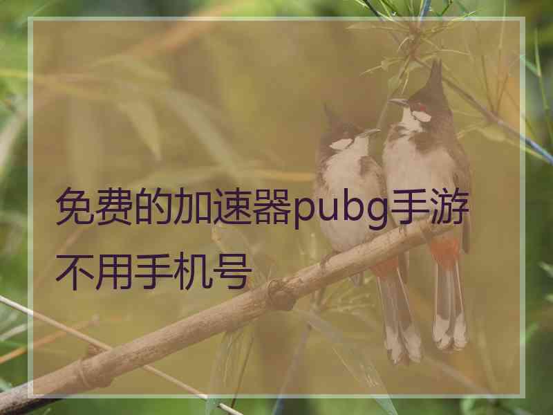 免费的加速器pubg手游不用手机号
