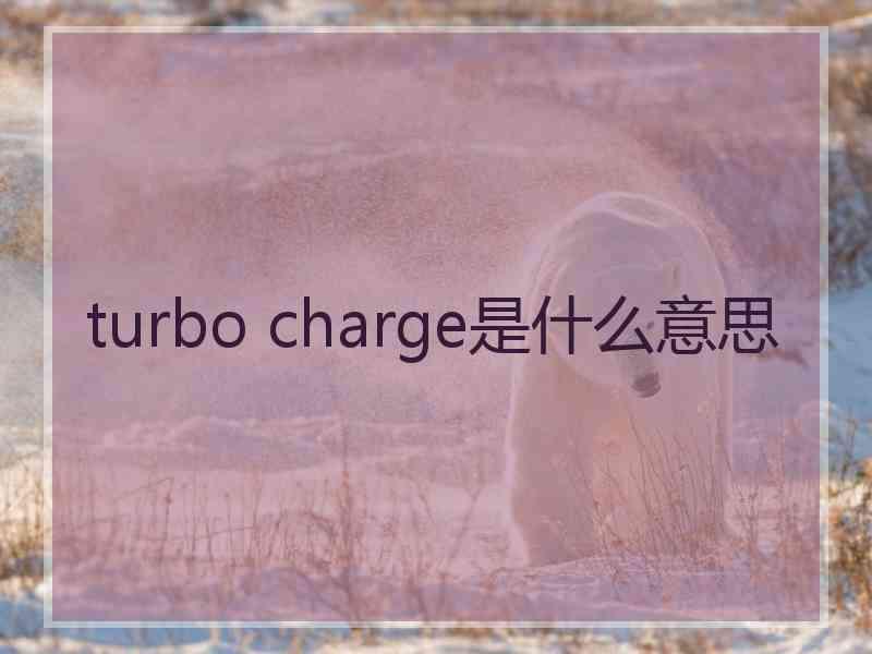 turbo charge是什么意思