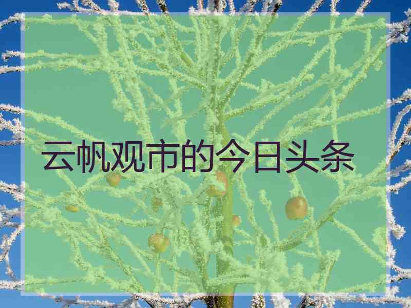 云帆观市的今日头条