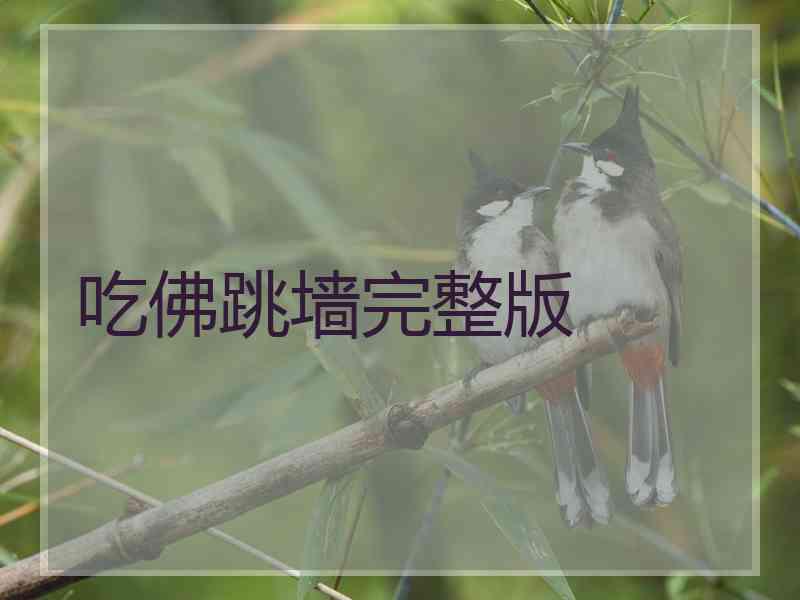 吃佛跳墙完整版