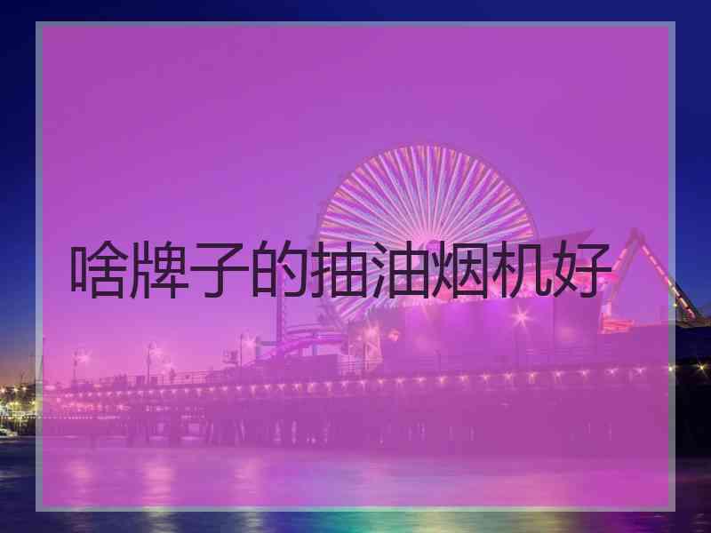 啥牌子的抽油烟机好