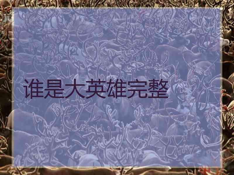 谁是大英雄完整