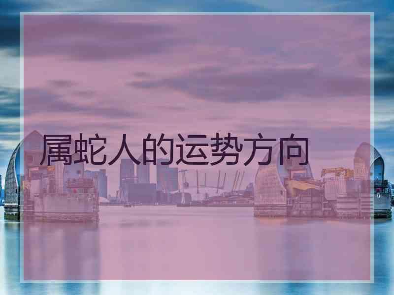 属蛇人的运势方向