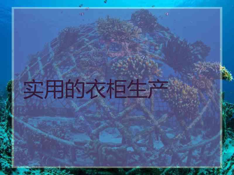 实用的衣柜生产