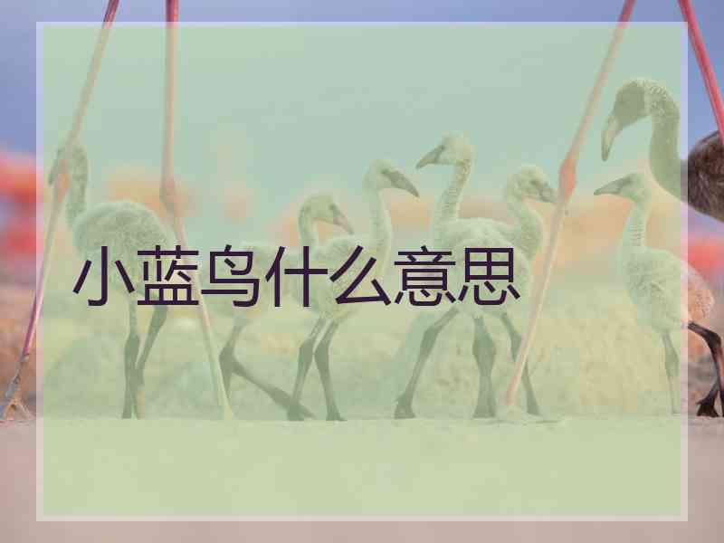 小蓝鸟什么意思