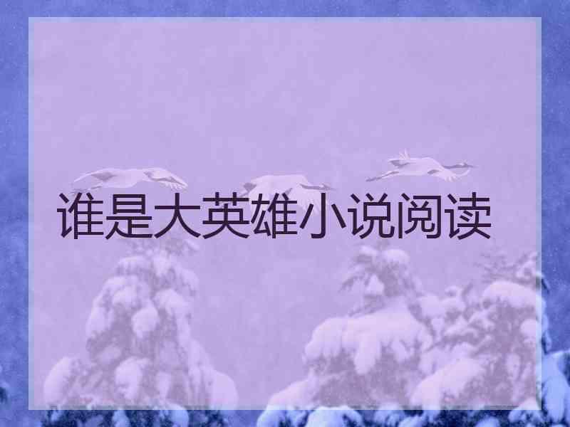 谁是大英雄小说阅读
