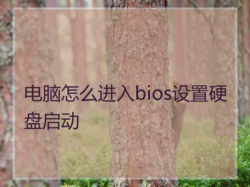 电脑怎么进入bios设置硬盘启动