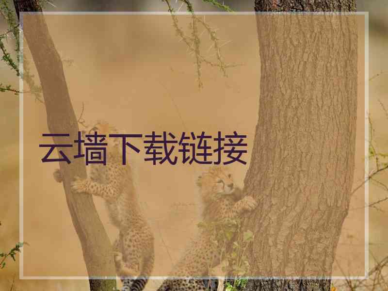 云墙下载链接