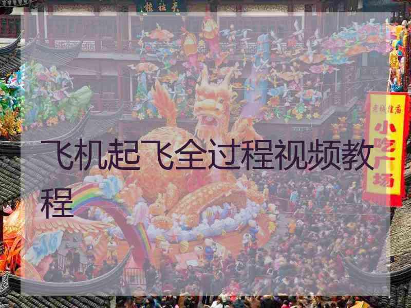 飞机起飞全过程视频教程