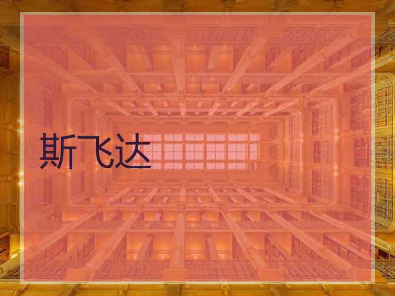 斯飞达