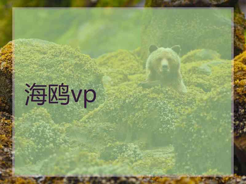 海鸥vp