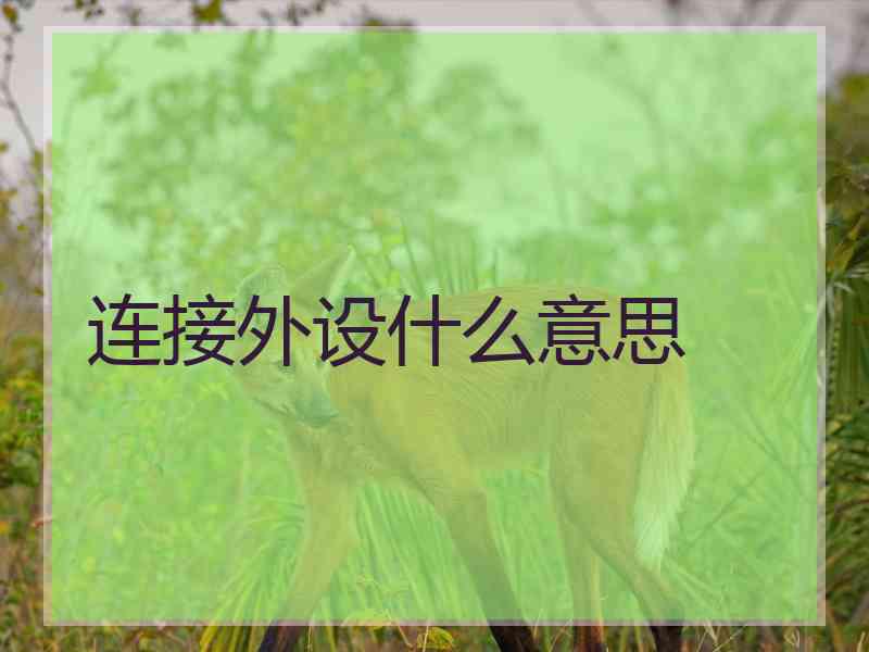 连接外设什么意思