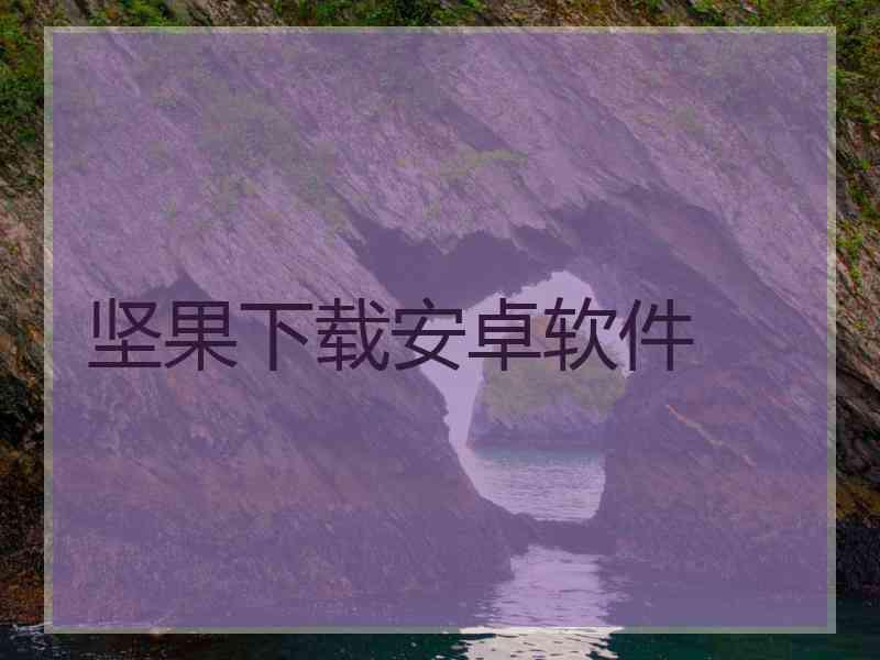坚果下载安卓软件