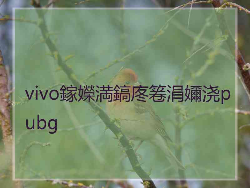 vivo鎵嬫満鎬庝箞涓嬭浇pubg