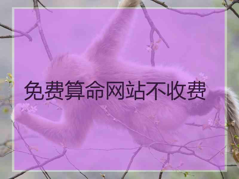 免费算命网站不收费