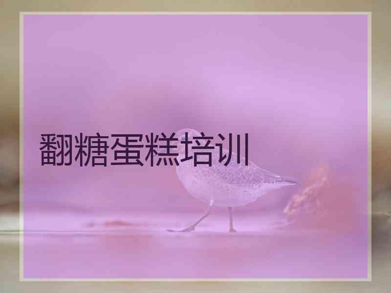 翻糖蛋糕培训