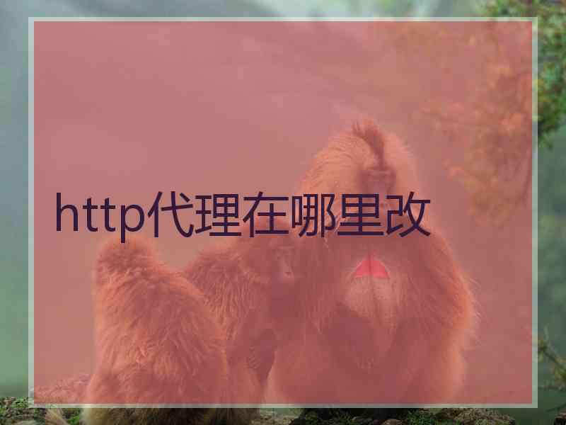http代理在哪里改
