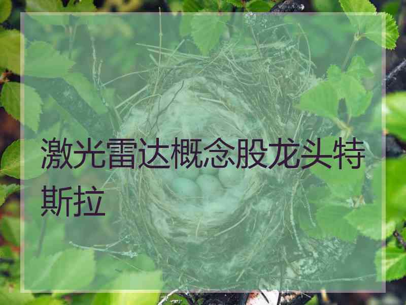 激光雷达概念股龙头特斯拉