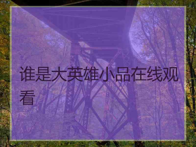 谁是大英雄小品在线观看