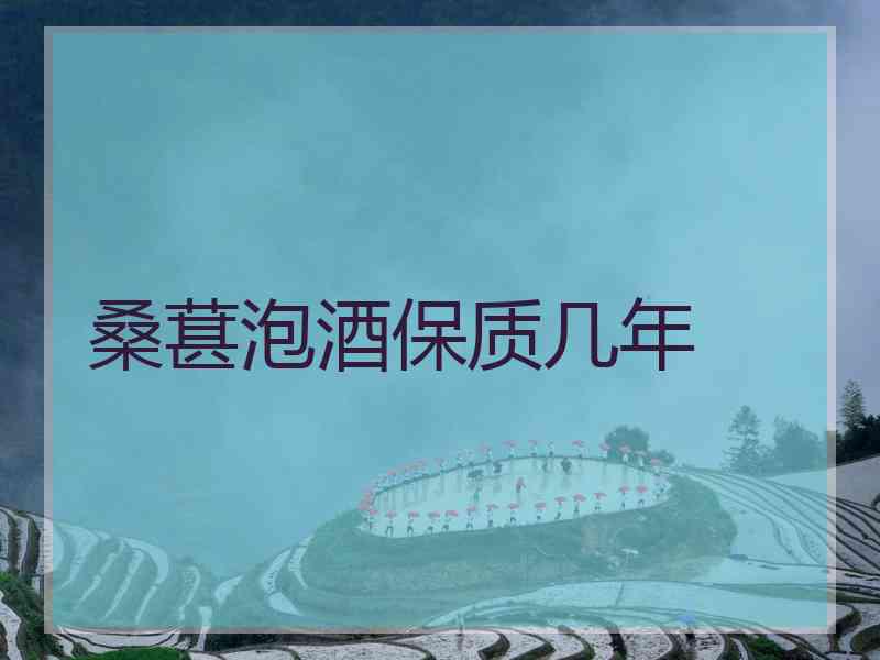 桑葚泡酒保质几年