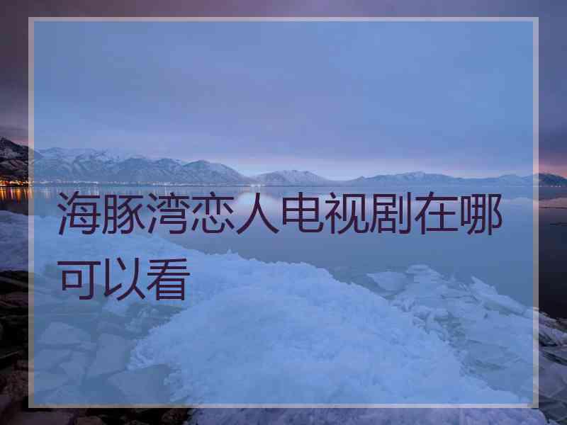 海豚湾恋人电视剧在哪可以看